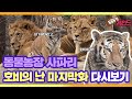 [TV 동물농장 레전드] 사파리 ‘호비의 난’ 다시보기 EP.2 마지막화 I TV동물농장 (Animal Farm) | SBS Story
