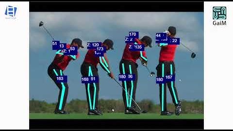 Get Human Pose Estimation and Biomechanics