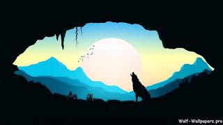 Cool Wolf Wallpapers 4K