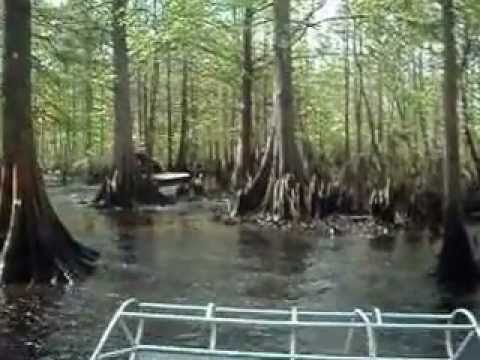 Return Trip From Sleepy Hallow, Floral City, Fl. -  Airboating -Hernando Fl.