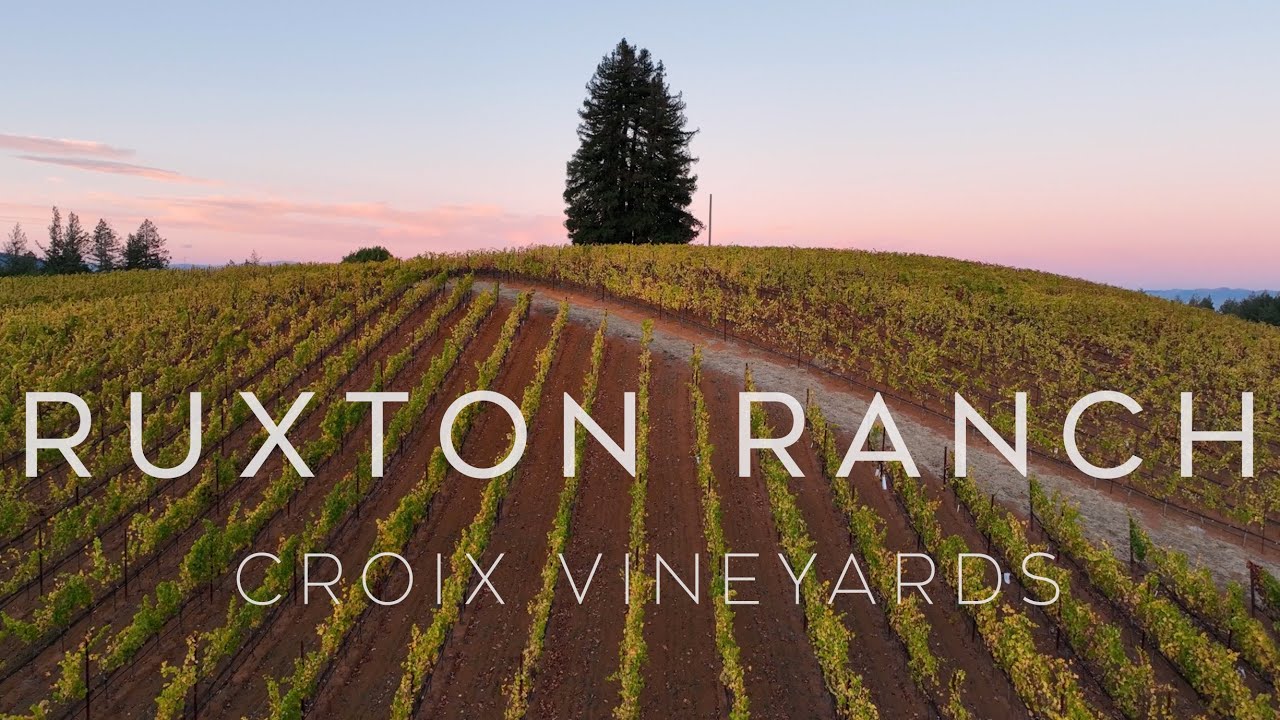 Ruxton Ranch Croix Vineyard Project - Ruxton Ranch - YouTube