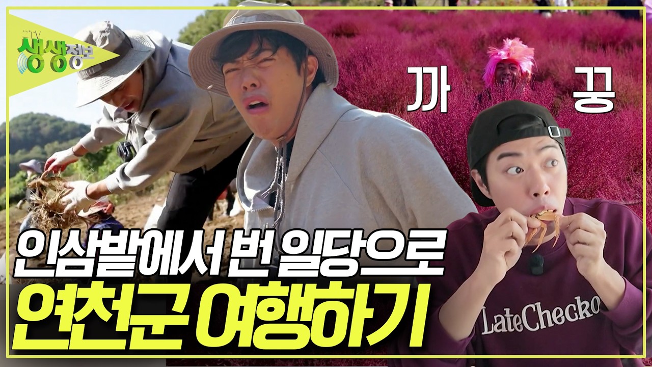 인삼밭에서 제대로 구른 개그맨 서태훈! 일당으로 알차게 연천 여행을 즐겨라! [2TV 생생정보] KBS 261016 방송