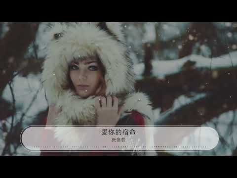 愛你的宿命 - 張信哲『You are my destiny』【動態歌詞Lyrics】