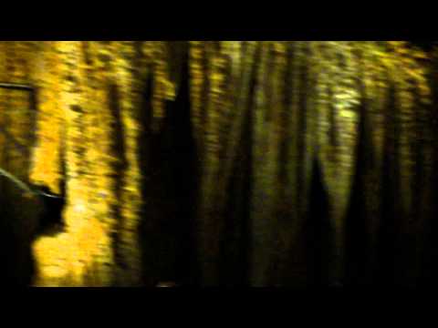 Luray Caverns "Music" - STALACPIPE ORGAN