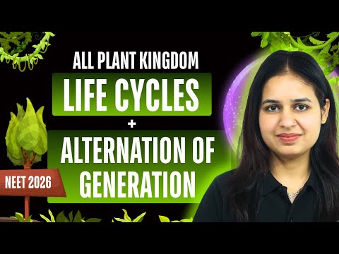 🧪 All Plant