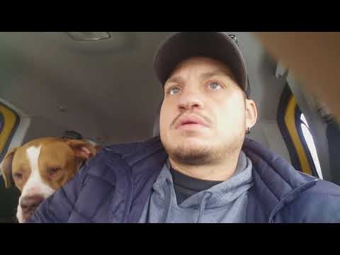 Come risolvere l'ansia cane in auto