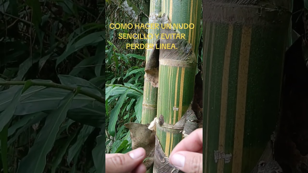 CÓMO HACER NUDO SENCILLO Y EVITAR PERDER LINEA.