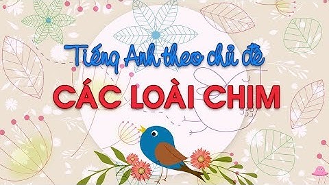 Học từ vựng tiếng Anh - Tiếng Anh theo chủ đề - Các loài chim | Learn english online