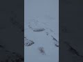 Whiteout on Mt. Lafayette and the Franconia Ridge, New Hampshire