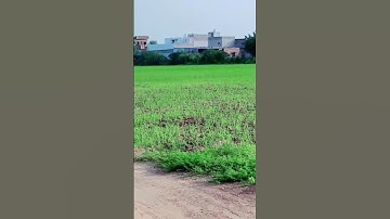 MY FIRST VLOG ❤❤ || MY FIRST VIDEO ON YOUTUBE ||bablu banna vlog #vlog #myfirstvlog