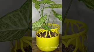 Diy plant pot