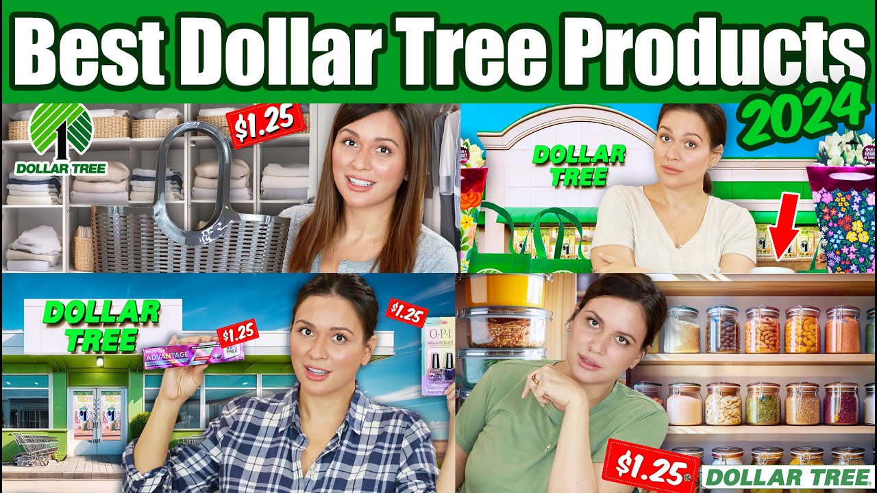 i-ve-tested-thousands-of-dollar-tree-products-the-best-of-2024-youtube