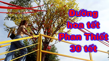 Rạng rỡ đường hoa Phan Thiết vào 30 tết năm quý mão 2023 | TPMM #41