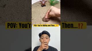 Download Lagu Wrong Hiding Spot ⁉️😂 MP3