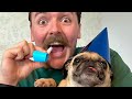 IT’S MY BIRTHDAY! 🎈 + My Story!