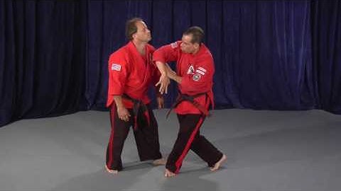 Kenpo Self Defense Technique Sample Video