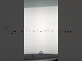 ¡Está es la historia de Antics en un minuto! 🤟 checa como sonaba el vinyl en mi Tiktok💥