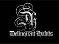 Delinquent habits  por dentro y por fuera