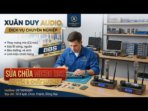 Xuân Duy Xuân Duy audio - YouTube