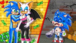 Sonic Dad Love Bad Rouger Leave BB Sonic - Amy Stepmother Vs Shadow | Sonic The Hedgehog 2 Animation