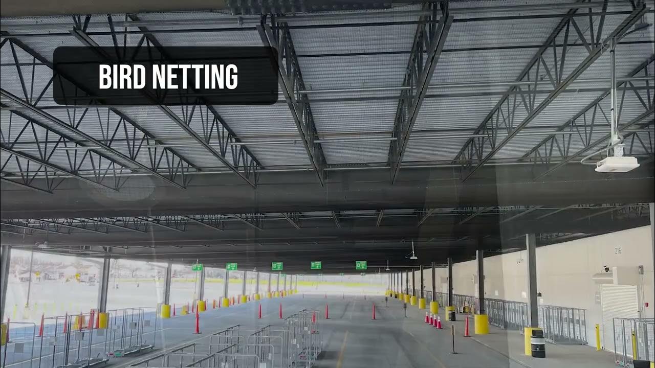 Bird Netting for Rafters YouTube