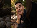 I Went Back 65 Million Years and a T-Rex Found Me 🦖😱 #shorts #aiqb #eyeqbee