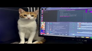 Fivem Highlights Indio #1 🐱‍👤