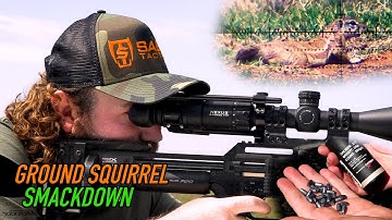 Ground Squirrel Hunting with a High Power PCP Airgun