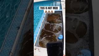 IGUANA POOPED IN THE JACUZZI…