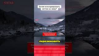 Зачем консервировать септик на зиму?