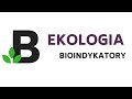 ekologia - YouTube