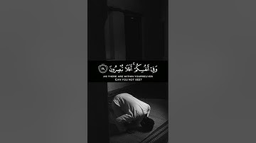 وفي الأرض آيات للموقنين وفي أنفسكم أفلا تبصرون اسلام صبحي