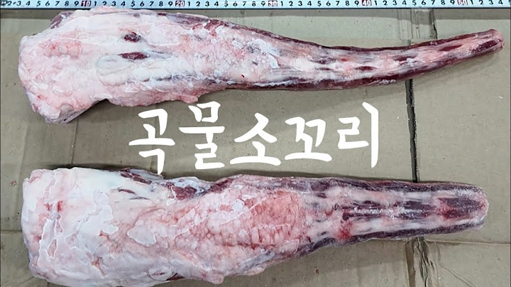 만인의 보양식 꼬리곰탕~! 서진이네2 소꼬리곰탕의 바로 그 곡물 소꼬리~!
