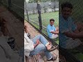 ഡിസ്പ്ലേ പോയ പോക്കേ...🫡ഇനി ഒറ്റ solution.Fix by fixali...