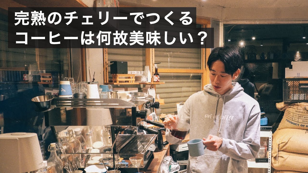 コーヒーチェリーの熟度はコーヒーの美味しさにどう影響を与えるのか Youtube コーヒーチェリーの熟度はコーヒーの美味しさにどう影響を与えるのか Youtube