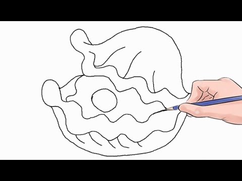 How to Draw an Oyster Easy Step by Step - YouTube