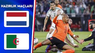 Hollanda Cezayir özet