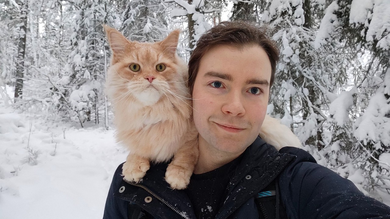 A Winter Walk In the Snowy Forest With My Cat
