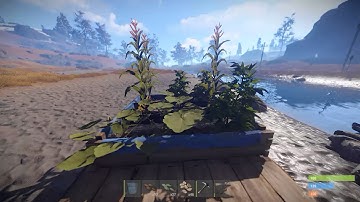 RUST Devblog 144/2