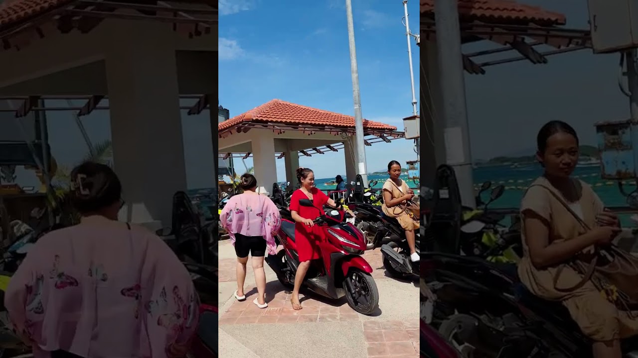 Coral Reef Island | Thailand 2025