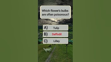 Did you get 5/5? #quiztime ,#trivia ,#quizchallenge ,#generalknowledge ,#testandlearn