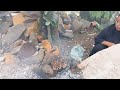 Edisi bakar bakar ikan@aviqachannel