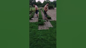 The Process of Digging Turf for a New Lawn #goodtools #machinery #smartwork