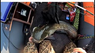 видео: Тянет и не останавливает катушку сом.2025 рыбалка на сома рыбалка на квок картинка: Тянет и не останавливает катушку сом.2025 рыбалка на сома рыбалка на квок