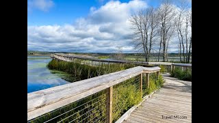 Arcadia Michigan Vacation: 6 Best Things To Do Today!