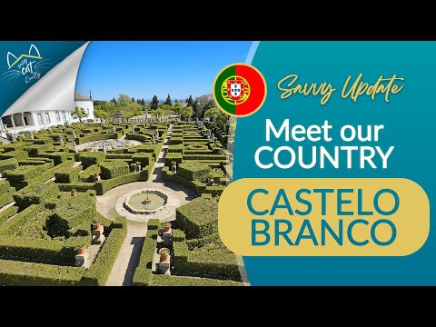 Cool Cat Portugal Exploring Castelo Branco