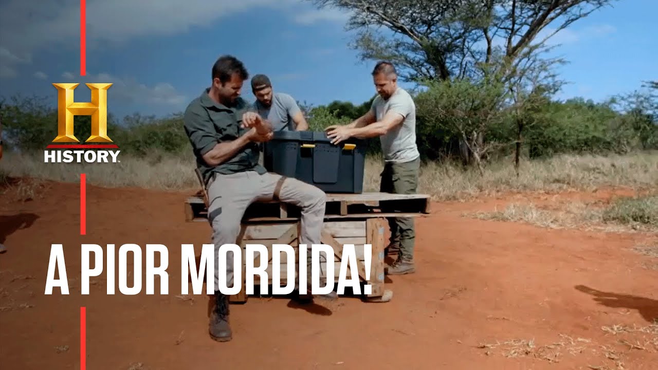 😨Essa foi a pior mordida já vista pelo programa! | ATAQUE ANIMAL ...
