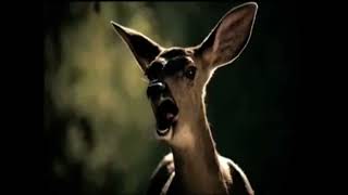 Bridgestone Tires Screaming Animal Commercial