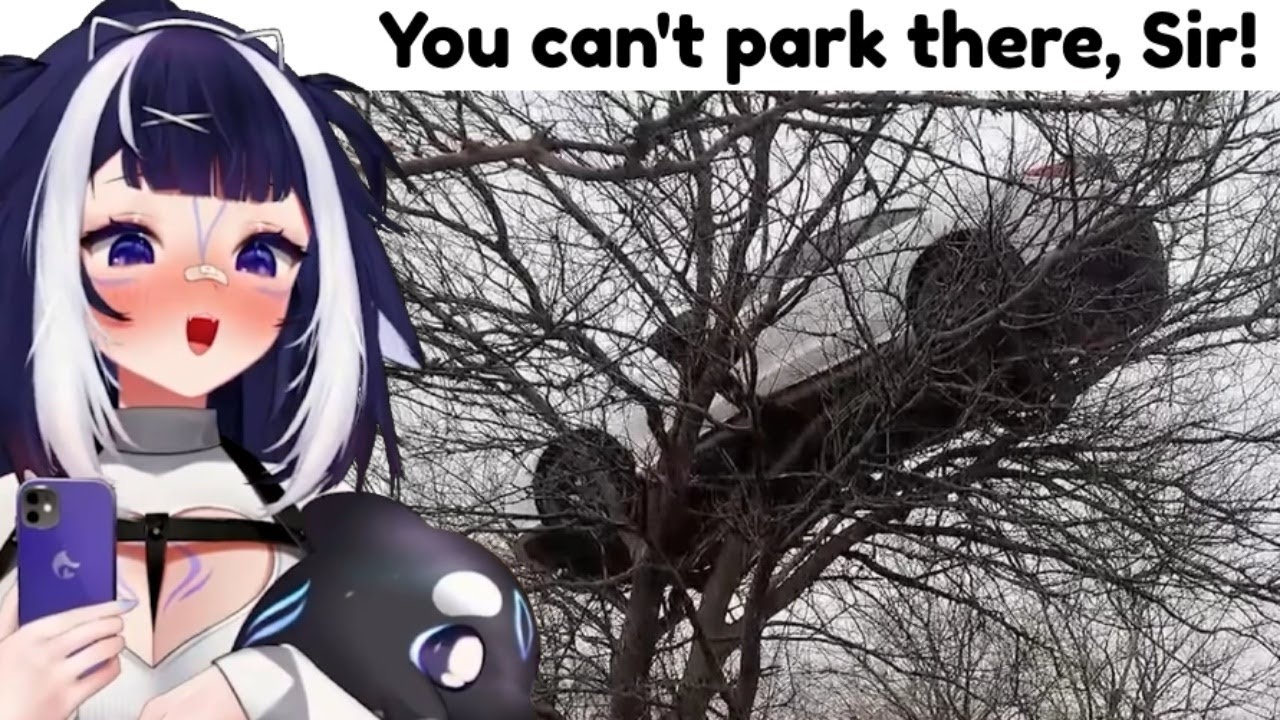 Shylily Watches Daily Dose Of Internet