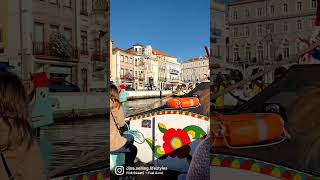 Aveiro Portugal Boat Ride Views #portugal #aveiro #shorts